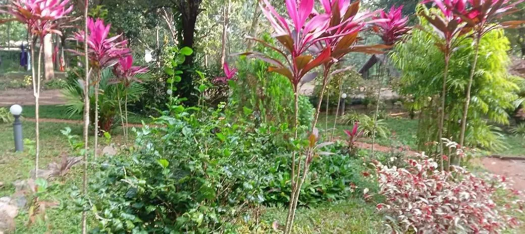 Hotel Bejewelled Sigiriya
